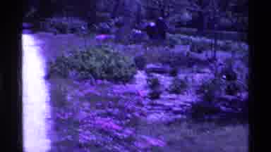 Ohio USA (1969): A Green Park O Lot Of Green Trees And The Beautiful Nature And
