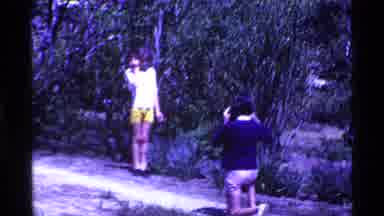 Ohio USA (1969): A Green Park O Lot Of Green Trees And The Beautiful Nature And