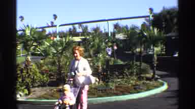Florida Michigan-1970: Mom Pushing Stroller With Child In Park