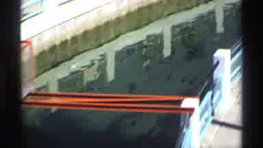 Florida Michigan-1970: Whale Under The Bridge (Or Just A Huge Fish)