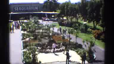 Florida Michigan (1970): A Green Park O Lot Of Green Trees And The Beautiful