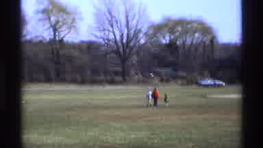 Florida Michigan (1970): Adult And Two Children Walking In The Park On A Sunny Day