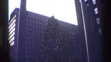 New York City (1970): Decorated Christmas Tree In Rockefeller Center In New York
