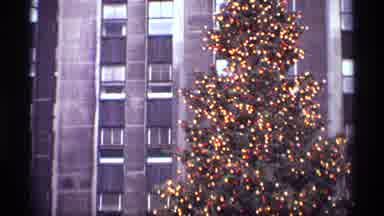 New York City (1970): A Christmas Tree Is Standing At The Bottom Of A Skyscraper
