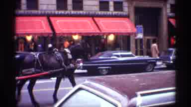 New York City (1970): A Horse And The Car Are Moving In The Road Side With Great