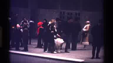 New York City (1970): People Walking Large Old English Sheepdog On City Street In