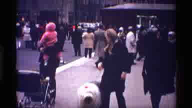 New York City (1970): Shaggy White Dog Held On Leash By White Woman Stays Still
