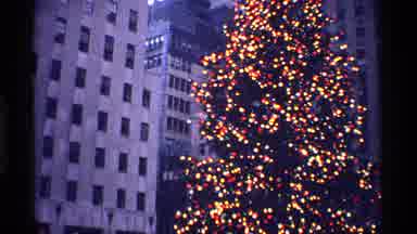 New York City (1970): A Amazing Place In The City Was Very Colorful Trees Around