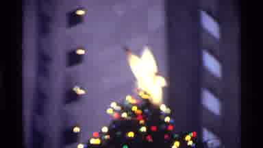 New York City (1970): Families And Dogs Gather Near Christmas Tree For Tree