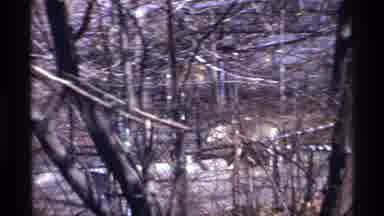 New York City (1971): Scenery Of Zoo With Kids Observing Animals In Their Habitats