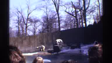 New York City (1971): A Nice Looking Snow Place With Huge Snowfall Was Looking