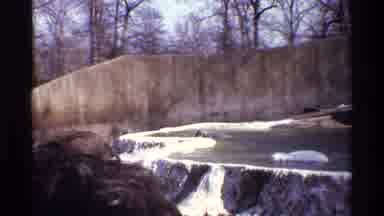New York City (1971): View Of Sleeping Polar Bear In Water On A Bright Sunny Day