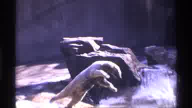 New York City (1971): A Gorgeous Looking And Rivers Side Was Excellent To Watch