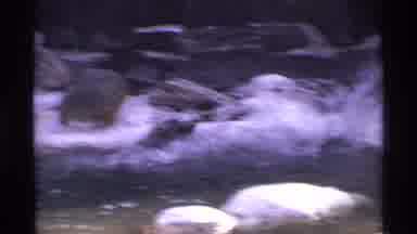 New York City (1971): A Nice Looking Snow Place With Bear And Enjoying The Playing