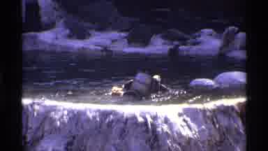 New York City (1971): A Bear Is Swimming In The Water It Looks Like Heâs Having