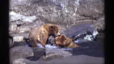 New York City (1971): In A Water And Couple Dear With Enjoy The Nature