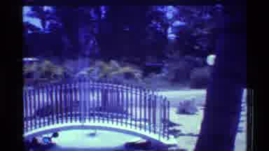 Florida USA (1973): A Green Park O Lot Of Green Trees And The Beautiful Nature