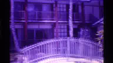 Florida USA (1973): Island Theme Hotel Buildings With Walkway Over Water And Palm