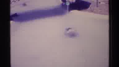 Florida USA (1973): Woman Enters Through Door Elongated Water Fountain That Is