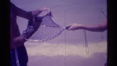 Florida USA (1973): People Releasing A Fish From The Net It Was Caught In At The