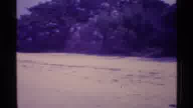 Florida USA (1973): A Gorgeous Looking Mountains And Rivers Side Was Excellent To