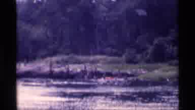New York (1973): Few Guys Are Fishing And Swimming In A Small Lake