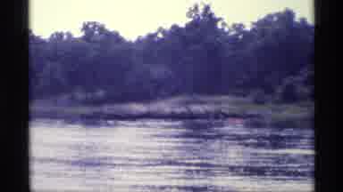 New York (1973): Outdoor Video Showing Calm Waters And Several Trees In The