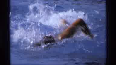 New York (1973): Swimming Championships Canceled Due To Ovid 19 Fears