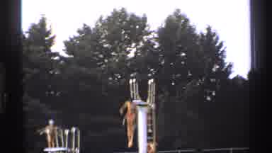 New York (1973): Person Jumping Off Of High Platform Diving Board At Large Public