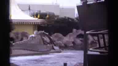 Orlando Florida (1974): Man Driving A Unspecific Vehicle In The Lake