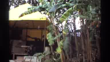 Orlando Florida (1974): Movie Scene Depicting Zoo Now Overrun By Gorillas