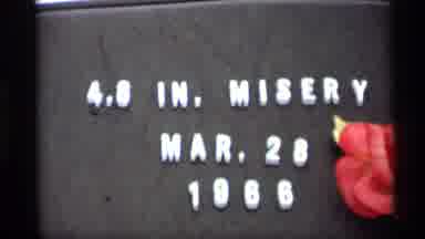 Madison Wisconsin (1966): A Nice Looking Snow Place With Huge Snowfall Was Looking
