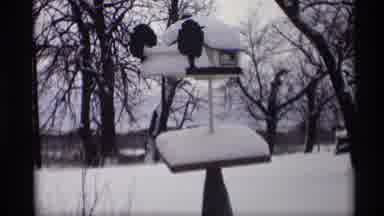 Madison Wisconsin (1966): A Snow Place Was Very Great To See In The City