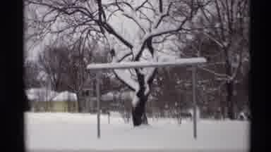 Madison Wisconsin (1966): Footage Of A Cold Snowy Day As Tree Accumulates Upon A
