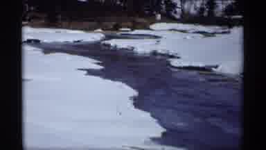 Madison Wisconsin (1966): Waiting For A Moose To Approach The River For A Cold