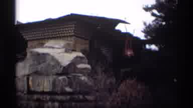 Madison Wisconsin (1966): Outdoor Recording Showing A Building And Then Many Trees