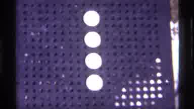 Chicago Illinois (1968): White Christmas Tree Indoors With Gold And Blue Globe