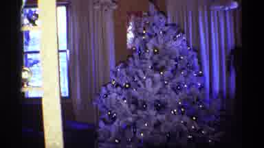 Chicago Illinois (1968): A Beautiful And Nice Christmas White Tree