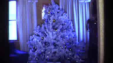 Chicago Illinois (1968): White Christmas Tree Turns On And Lights Up The Cold