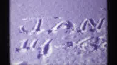 Chicago Illinois (1968): Brown Dog Smelling Snow On A Bright Sunny Winter Day