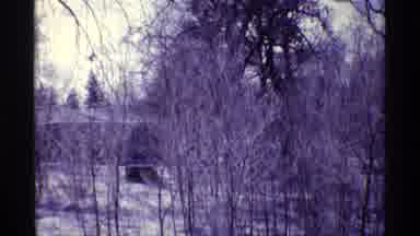Chicago Illinois (1968): Trees Near A Residential Neighborhood Power Lines And