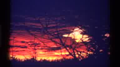 Chicago Illinois (1968): Random Weird Video Of Sunset And Winter With A Black