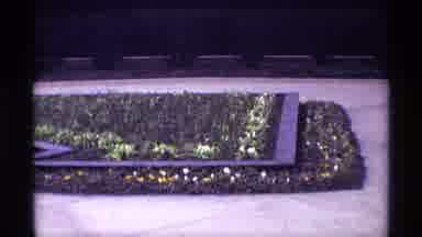 Chicago Illinois (1968): Plants Sprout From A Raised Garden Bed Followed By A Man