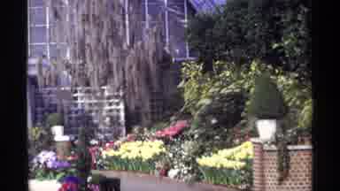 Chicago Illinois (1968): House Garden With A Green Grass With Red And Yellow