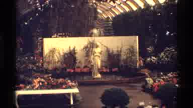 Chicago Illinois (1968): A Place Around The Nature Was Very Great See The Mothered