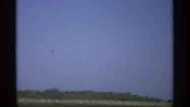 Holland Michigan (1969): Footage Out Of Car Window Of Trees Wall Scenery Rolling