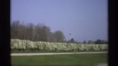 Holland Michigan (1969): Driving Car Filming Nature Grass Trees Sky Blue Road