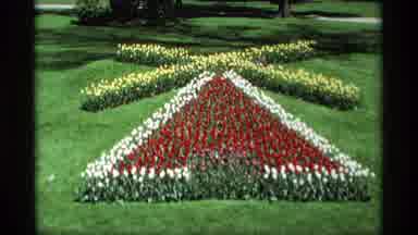 Holland Michigan (1969): The Garden Of Flowers Is Shaped Like A Windmill And