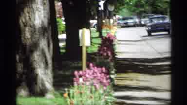 Holland Michigan (1969): Cars Drive Along Road With Trees Along The Side Of The