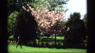 Holland Michigan (1969): Trees Flowers Highway Cars Roadways